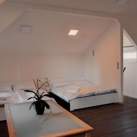 Apartmany Centrum Novy Bor Luaran gambar