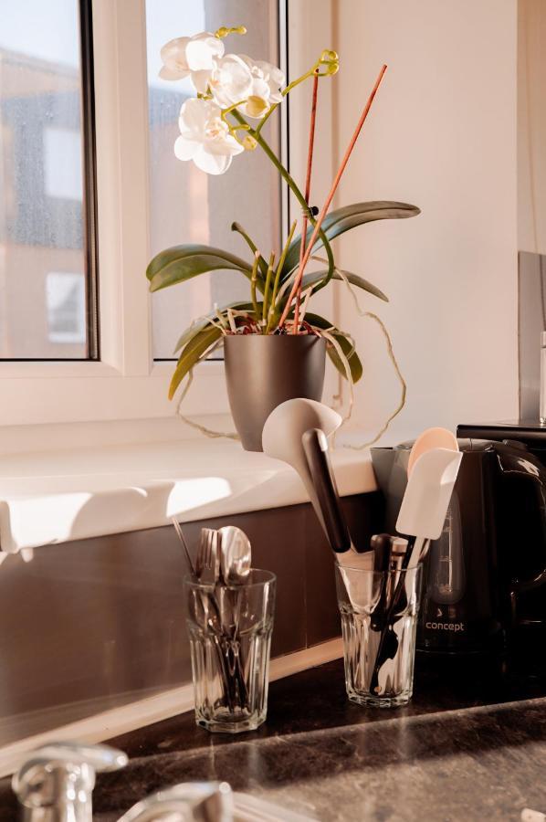 Apartmany Centrum Novy Bor Luaran gambar